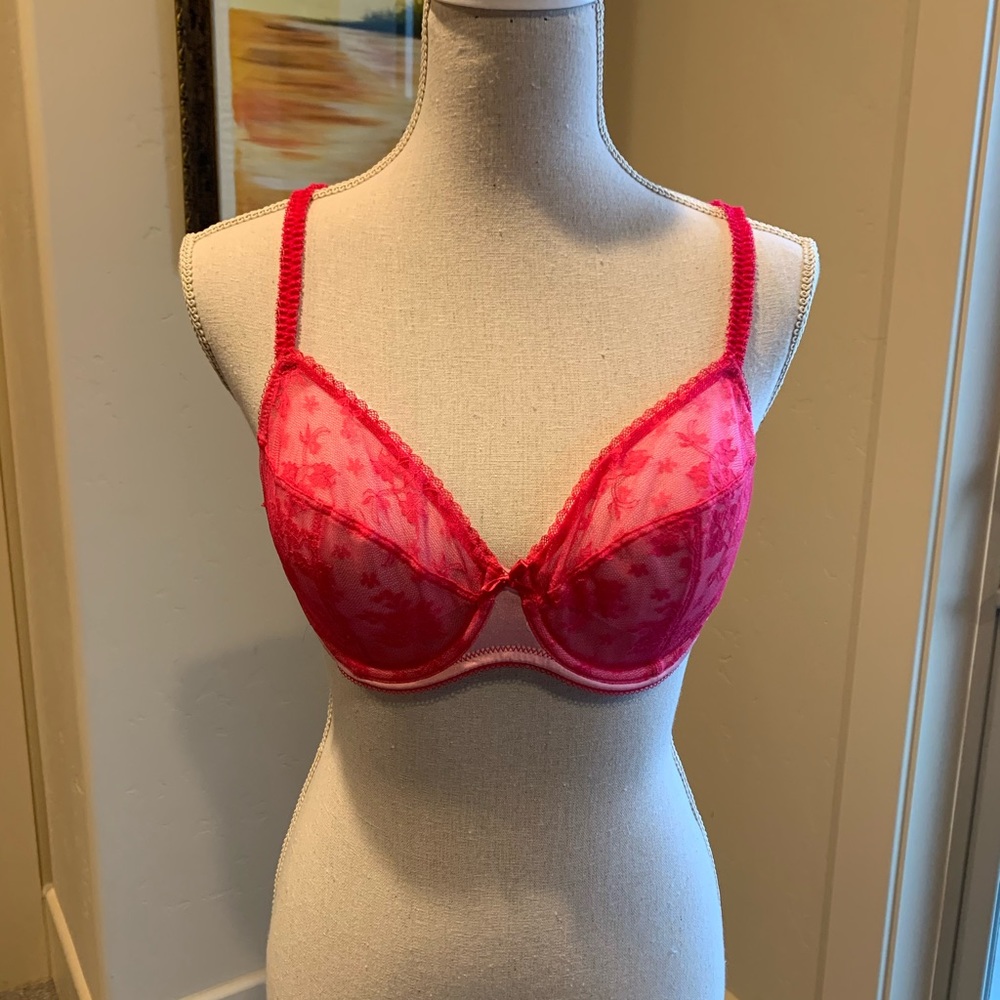 b.tempted bra